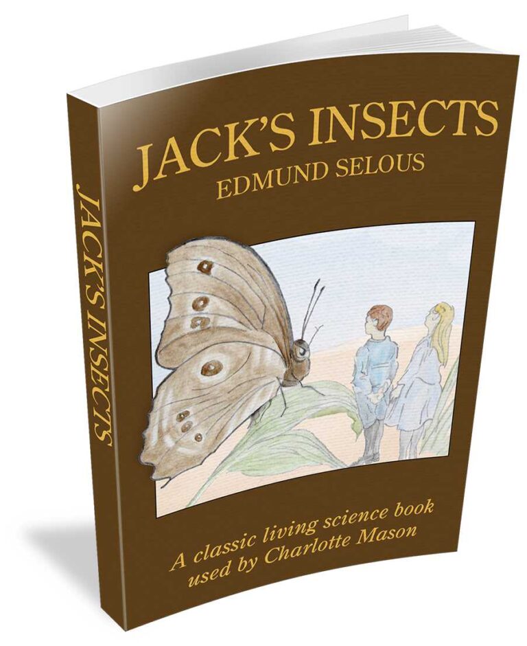The Book Of Human Insects Read Online Jack's Insects Narration & Nature Study Notebook - Simply Charlotte Mason