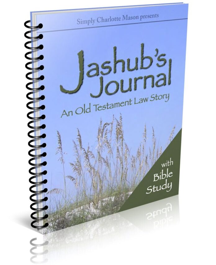 Jashub's Journal: An Old Testament Law Story and Bible Study