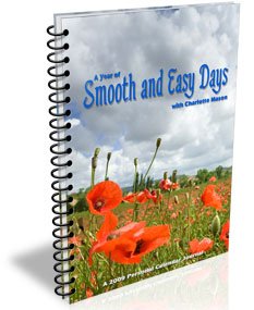 Smooth and Easy Days 2009 Calendar Journal