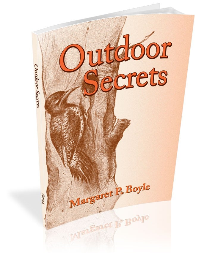 Outdoor Secrets - Simply Charlotte Mason
