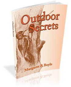 Outdoor Secrets nature book