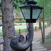 Bent tree lamp