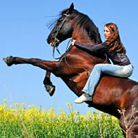 Horse and girl