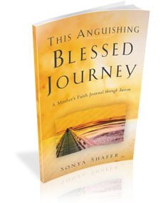 This Anguishing Blessed Journey book