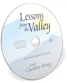 Lessons from the Valley