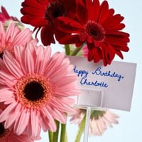Happy Birthday Charlotte Mason flowers