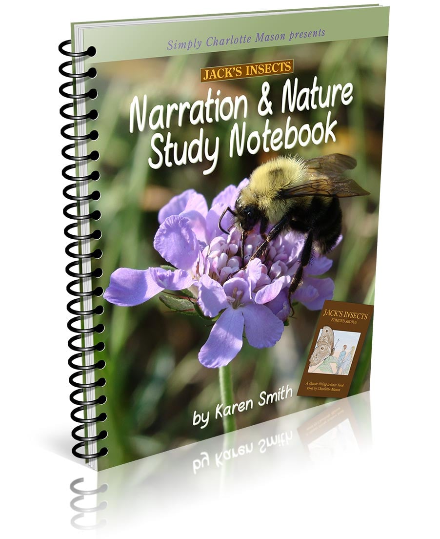 Jacks Insects Narration & Nature Study Notebook