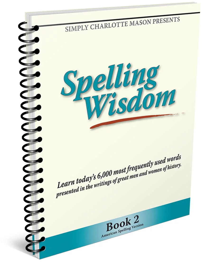 Spelling Wisdom US book 2