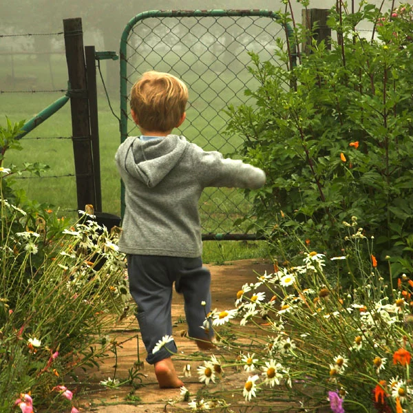 Child enjoying nature