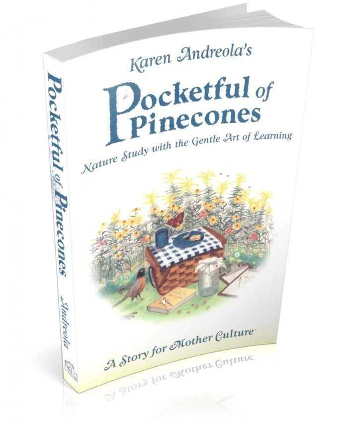 A Pocketful of Pinecones