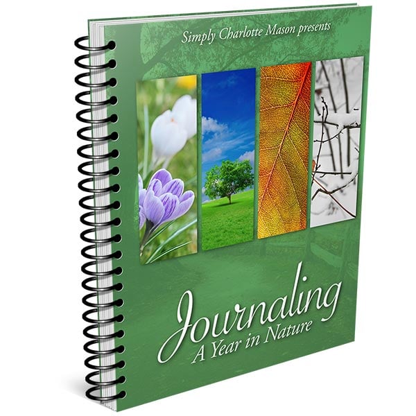 Journaling a Year in Nature