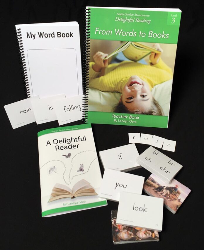 Delightful Reading, Level 3: From Words to Books