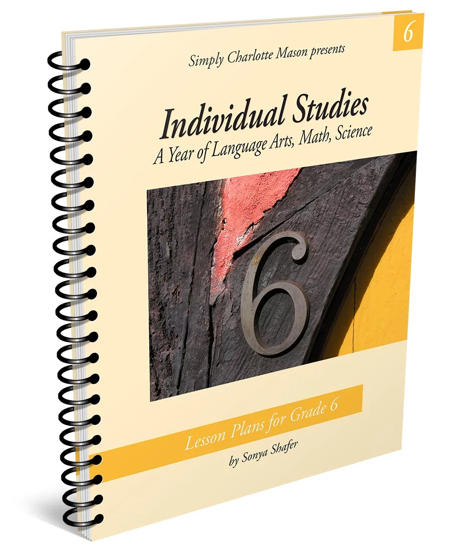 Individual Studies, Grade 6 lesson plans