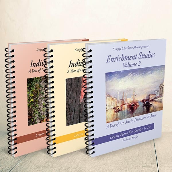 New Individual and Enrichment Studies books