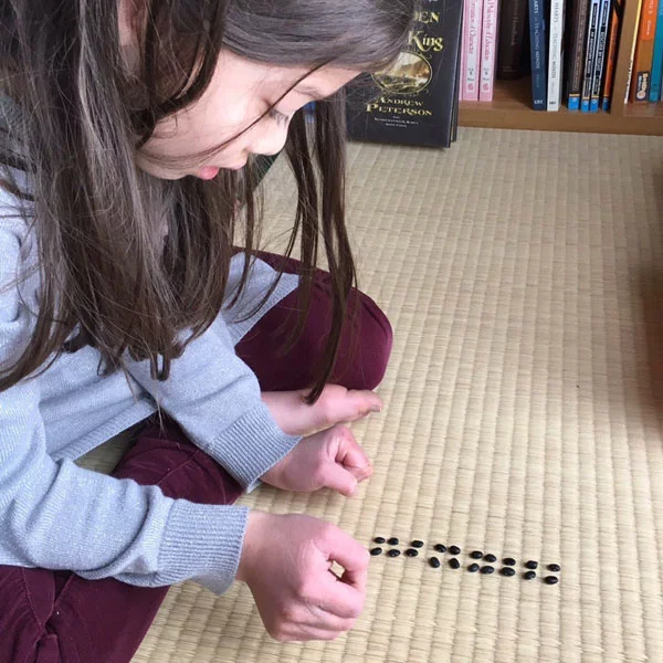 Charlotte Mason Living Math Education Manipulatives