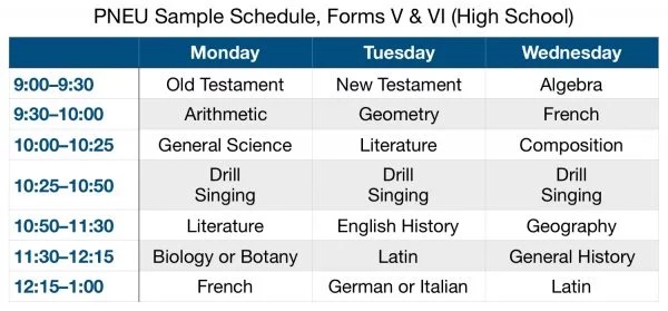 Sample Schedule PNEU Form V and VI