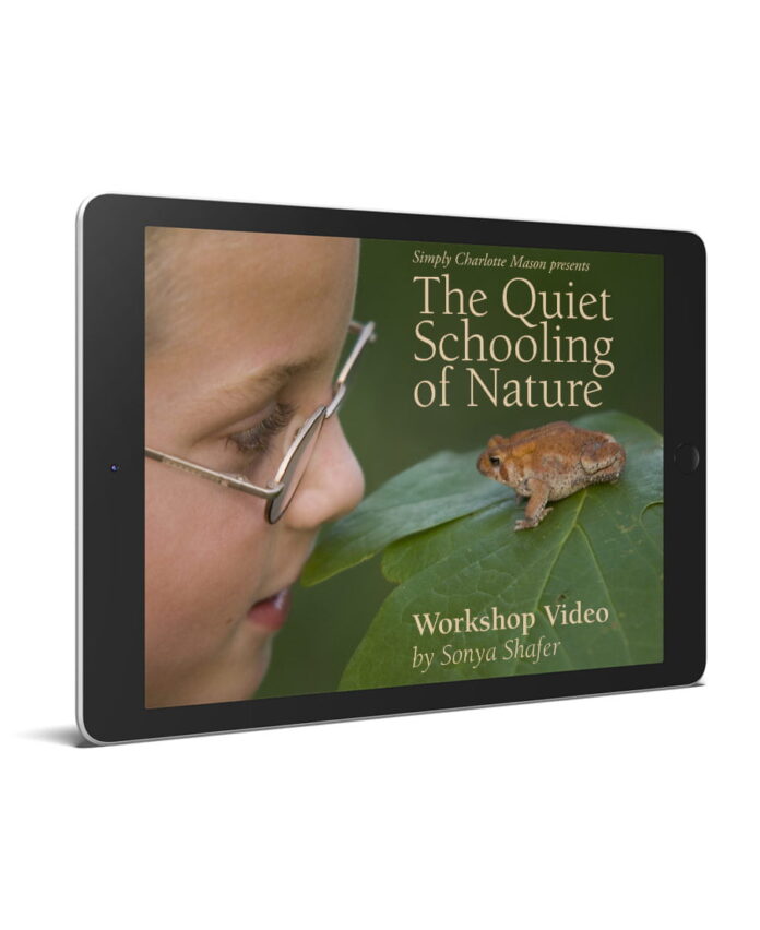 Quiet Schooling of Nature