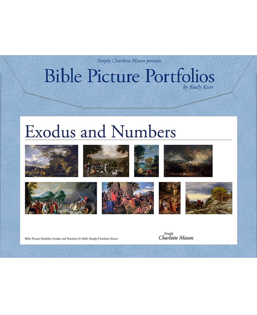 Bible Picture Portfolio: Exodus and Numbers