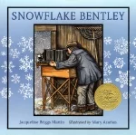 Preschool Picture Books and Chapter Books - Snowflake Bentley