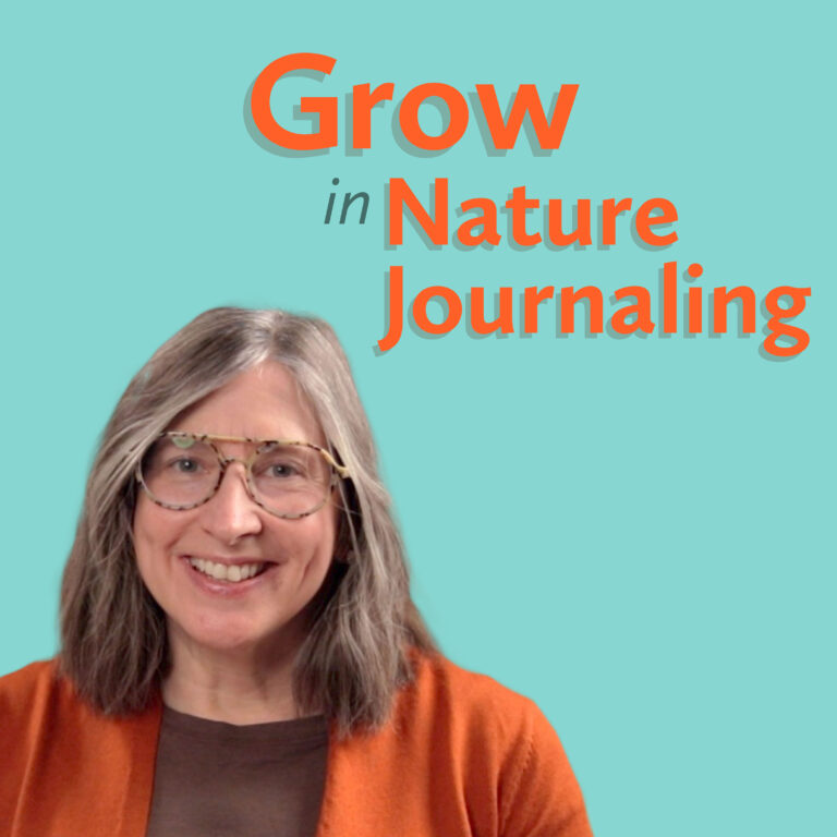 How to Grow in Nature Journaling