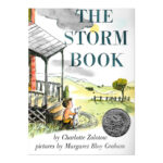 Preschool Picture Books and Chapter Books - The Storm Book
