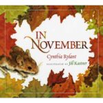 Preschool Picture Books and Chapter Books - In November