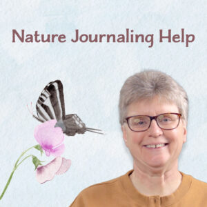 What to Put in Your Nature Journal