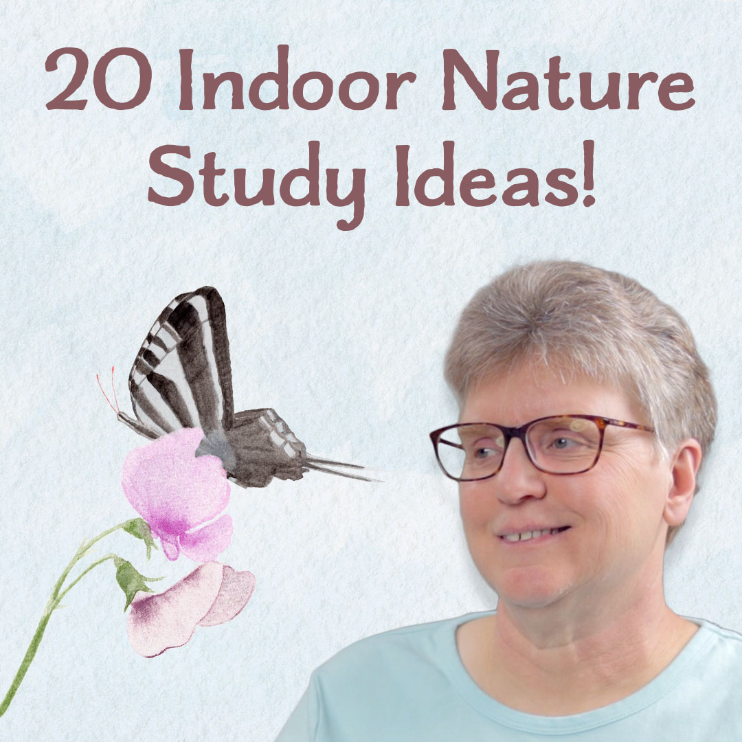20 Ideas for Indoor Nature Study